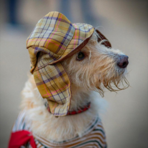 Get in on the act of solving crimes!